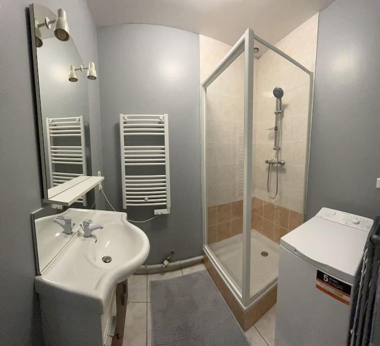 Montbéliard Appartement 1 Chambre Rue Faubourg De Besancon מראה חיצוני תמונה