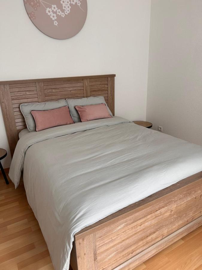 Montbéliard Appartement 1 Chambre Rue Faubourg De Besancon מראה חיצוני תמונה